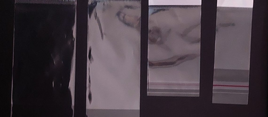 1 (13)